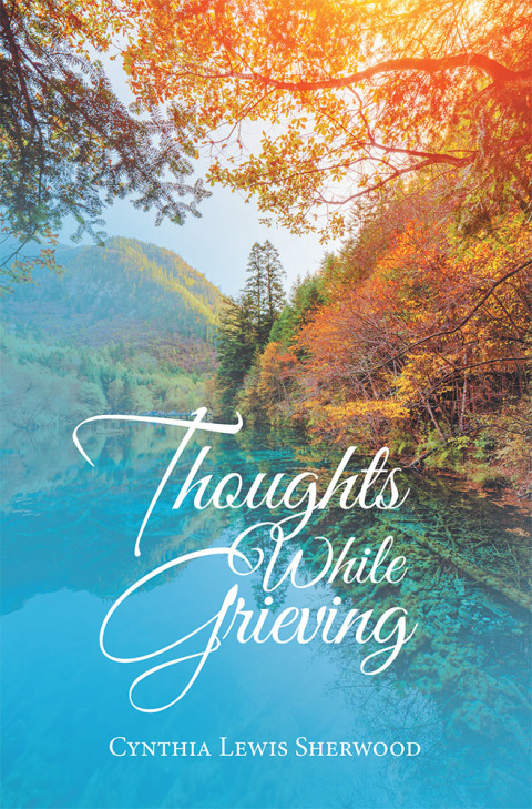 Cover image for book Thoughts While Grieving