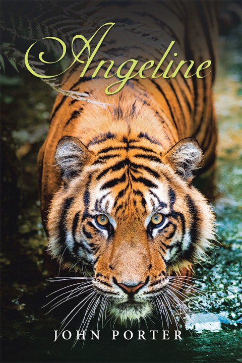Cover image for book Angeline