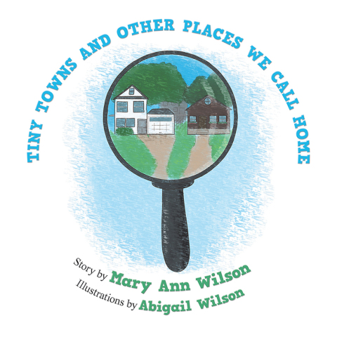 Cover image for book Tiny Towns and Other Places We Call Home