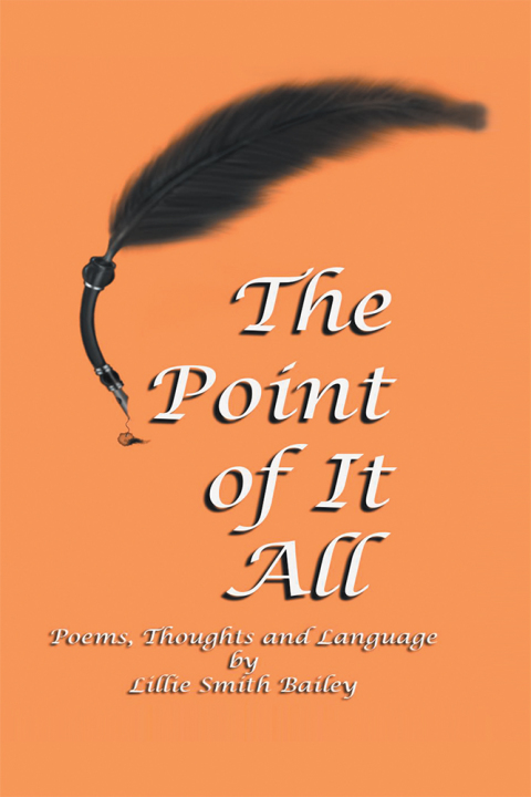 Cover image for book The Point of It All
