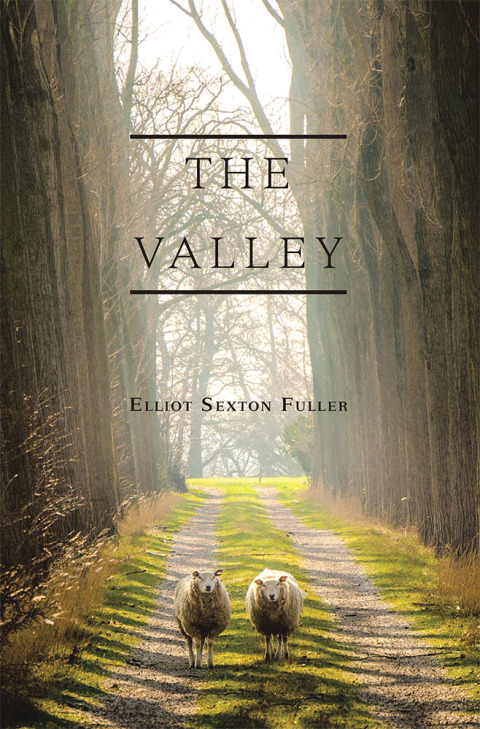 Cover image for book The Valley