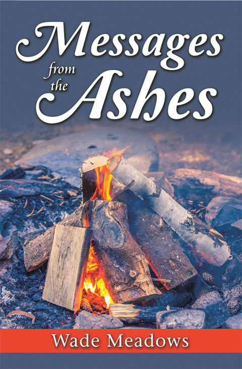 Cover image for book Messages from the Ashes