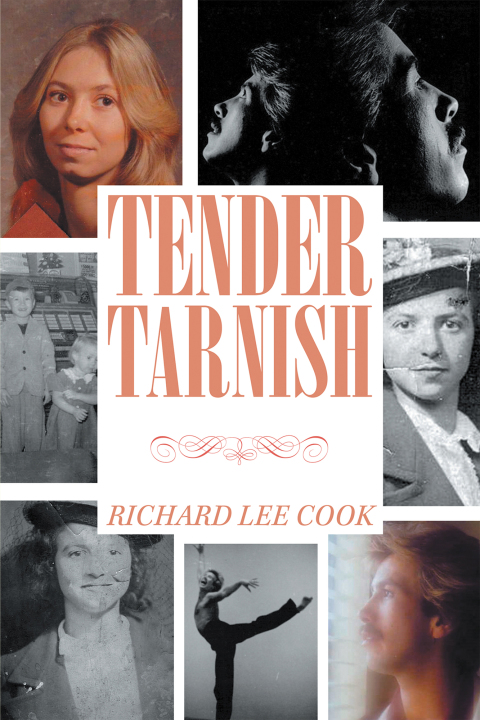 Cover image for book Tender Tarnish