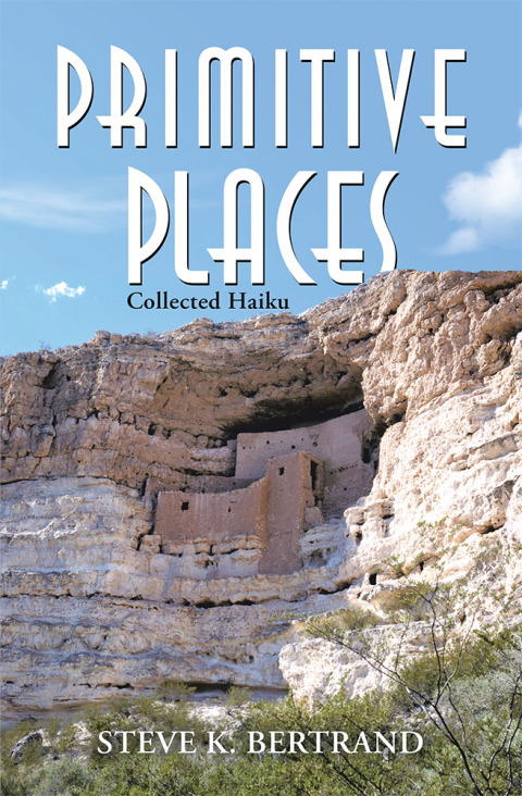 Cover image for book Primitive Places