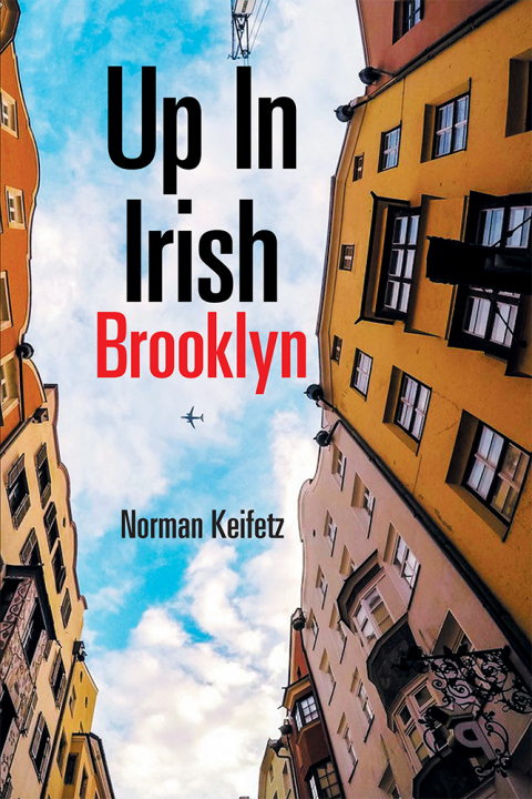 Cover image for book Up in Irish Brooklyn