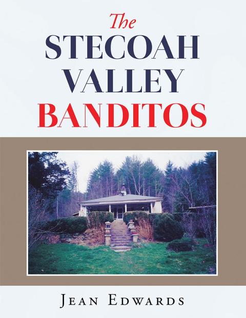 Cover image for book The Stecoah Valley Banditos