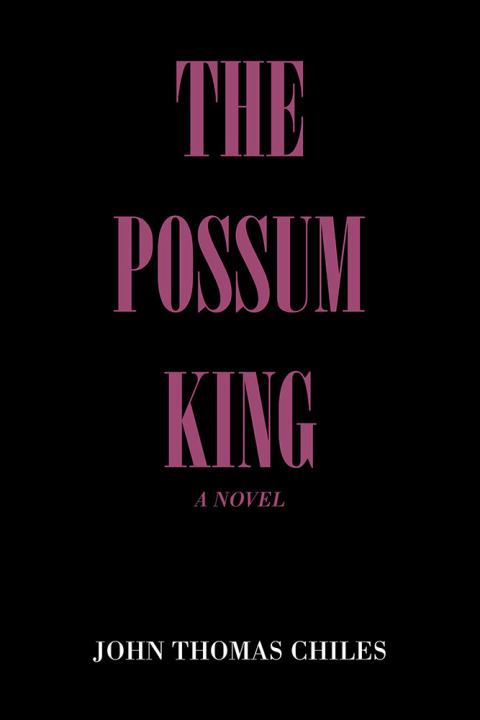 Cover image for book The Possum King