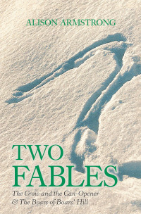 Cover image: Two Fables 9781796092585