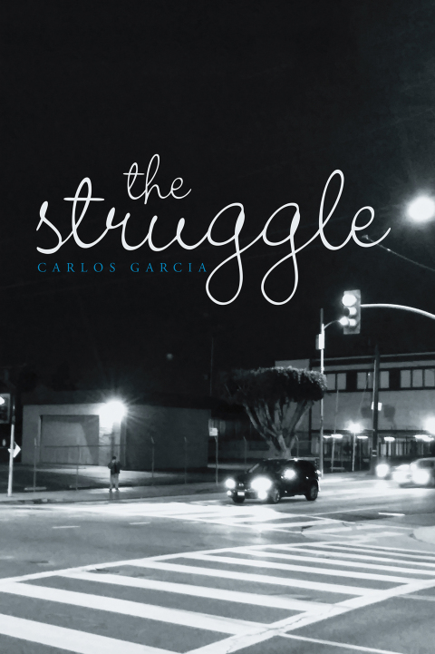 Cover image for book The Struggle