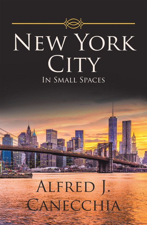 Cover image for book New York City