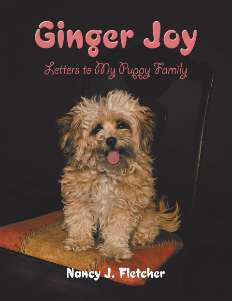 Cover image for book Ginger Joy