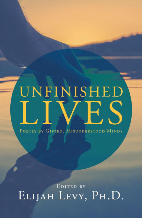 Cover image for book Unfinished Lives