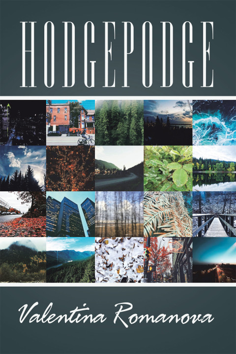 Cover image for book Hodgepodge