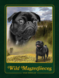 Cover image: Wild Masterpieces 9781797200743