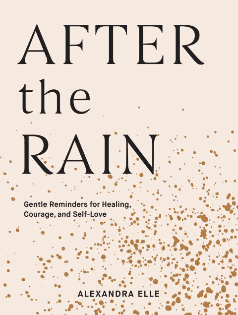 Cover image for book After the Rain