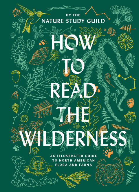 Cover image for book How to Read the Wilderness