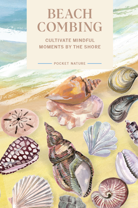 Cover image for book Pocket Nature Series: Beachcombing