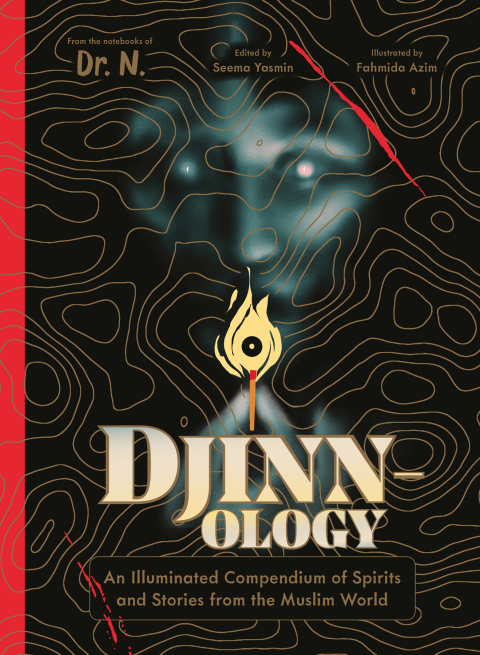 Cover image for book Djinnology