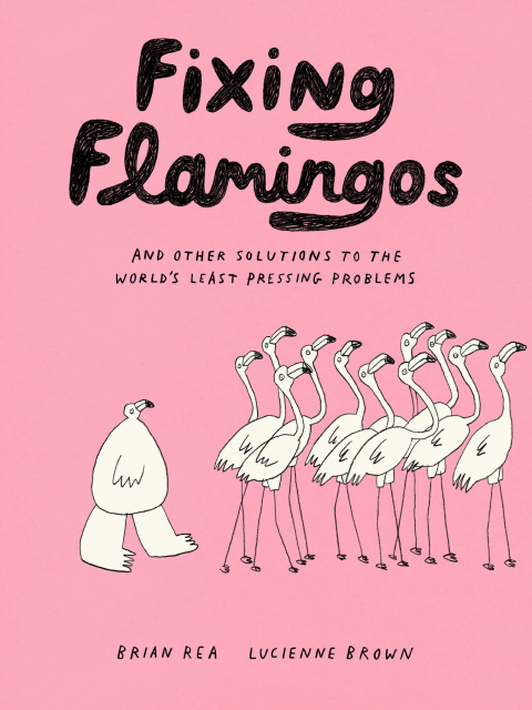 Fixing Flamingos 