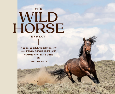 The Wild Horse Effect 