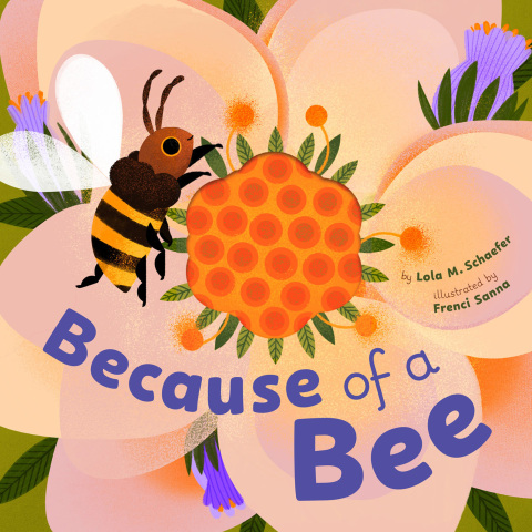 Cover image for book Because of a Bee
