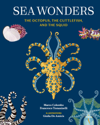Sea Wonders