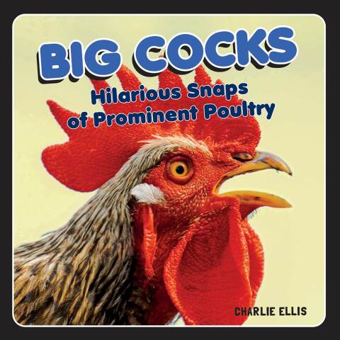 Cover image for book Big Cocks