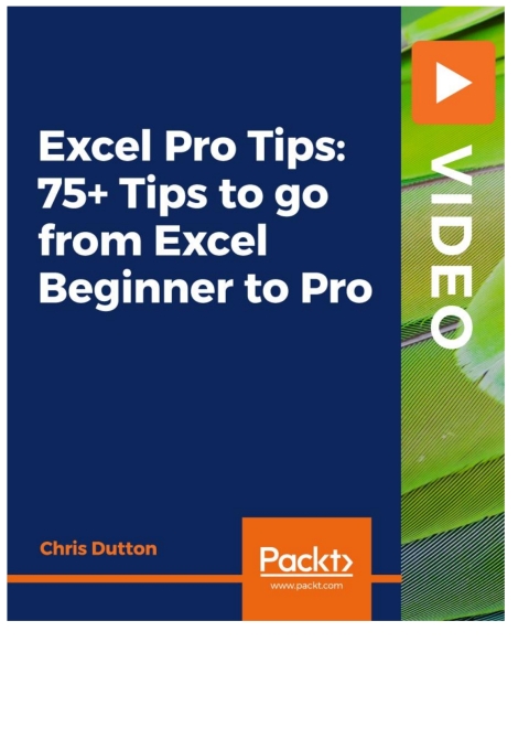 Cover image for book Excel Pro Tips: 75+ Tips to go from Excel Beginner to Pro