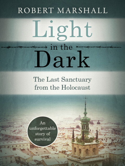 Cover image for book Light in the Dark