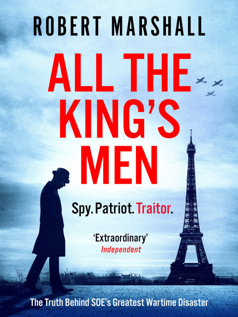 Cover image for book All the King's Men