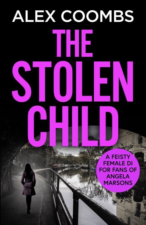 Cover image for book The Stolen Child