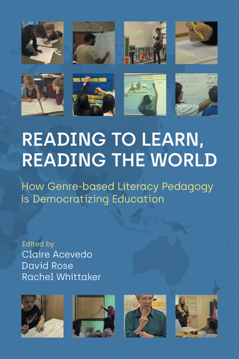 Cover image for book Reading to Learn Reading the World
