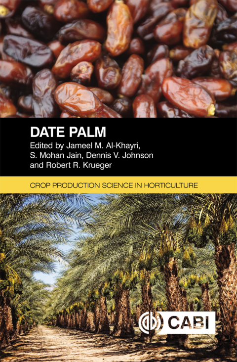 Date Palm 