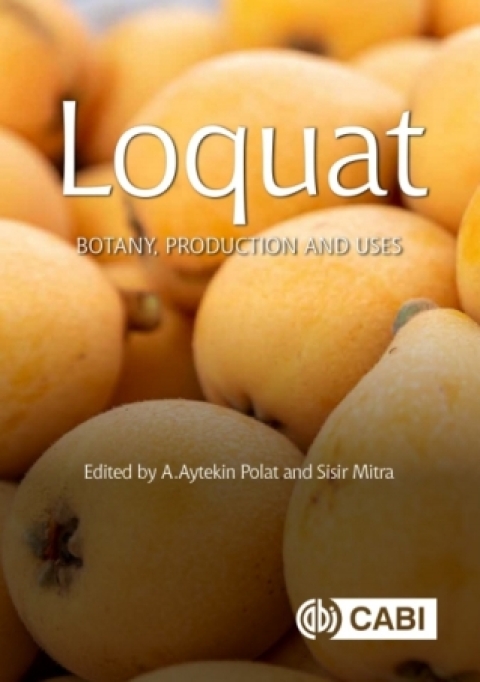 Cover image for book Loquat