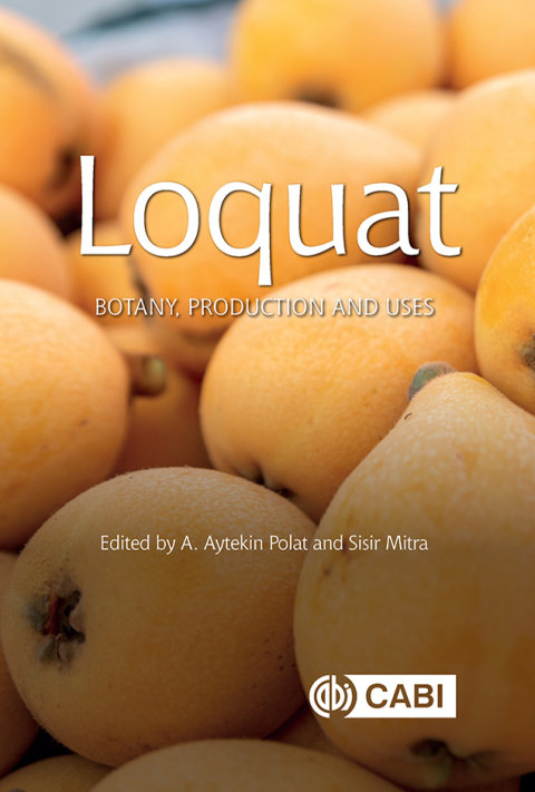 Cover image for book Loquat