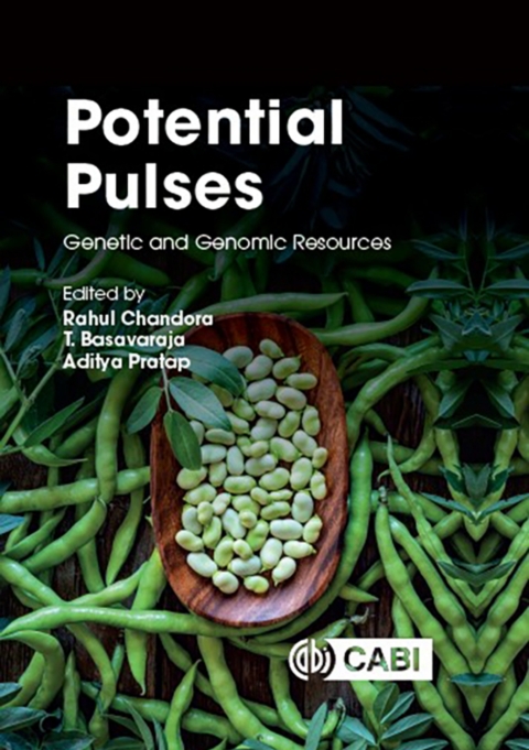 Cover image for book Potential Pulses