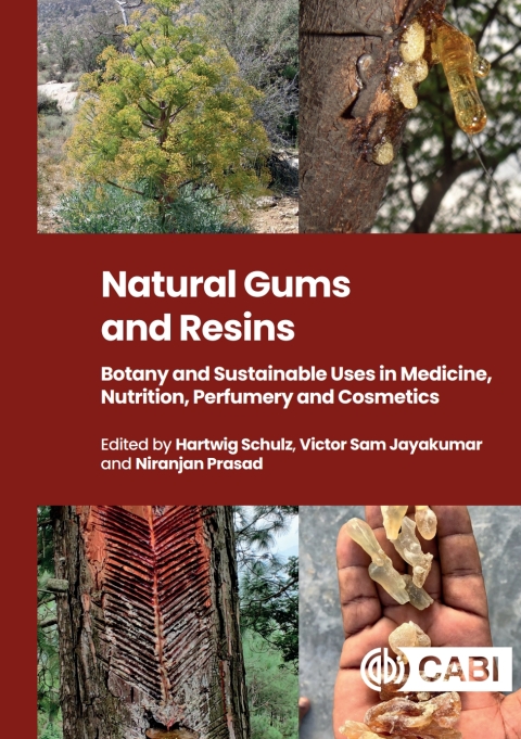 Cover image for book Natural Gums and Resins