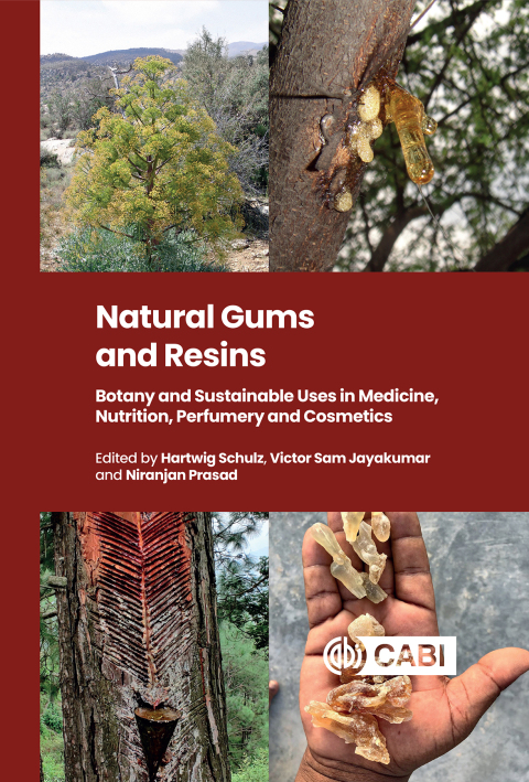 Cover image for book Natural Gums and Resins