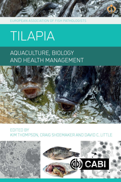 Cover image for book Tilapia