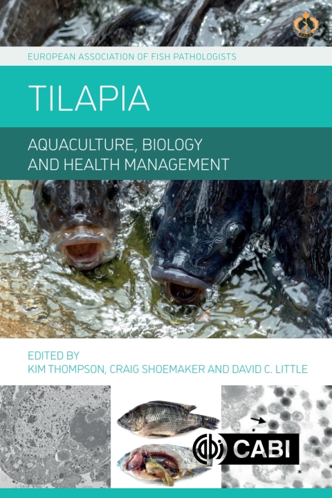 Cover image for book Tilapia