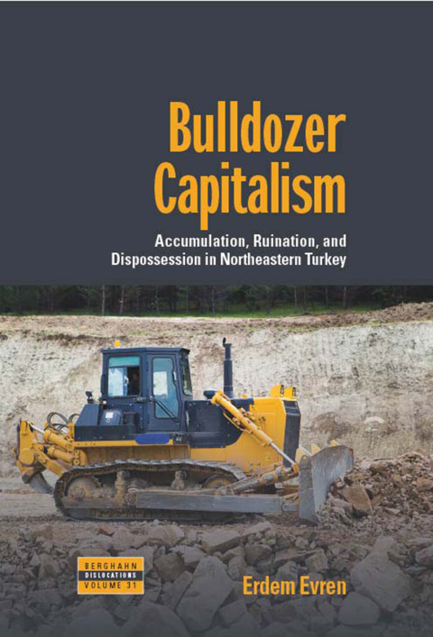Cover image for book Bulldozer Capitalism