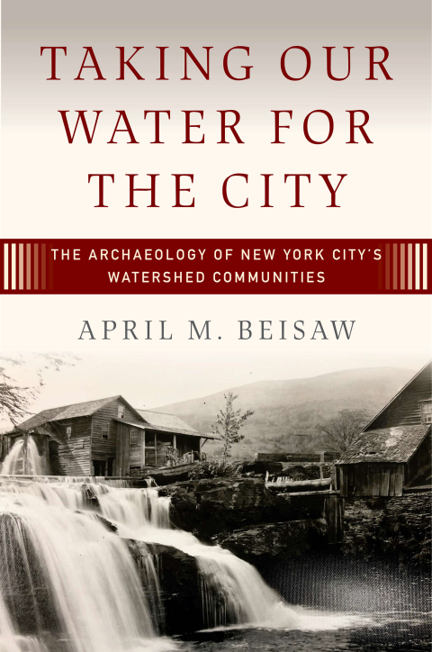 Cover image for book Taking Our Water for the City