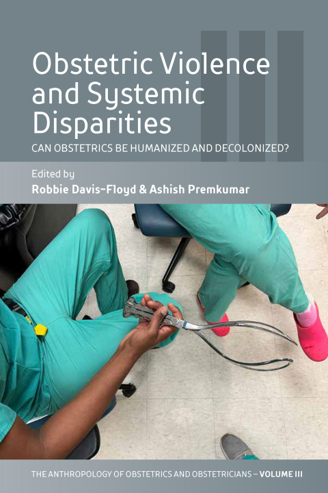 Cover image for book Obstetric Violence and Systemic Disparities