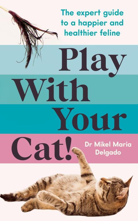 Play With Your Cat! 