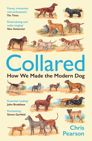 Collared