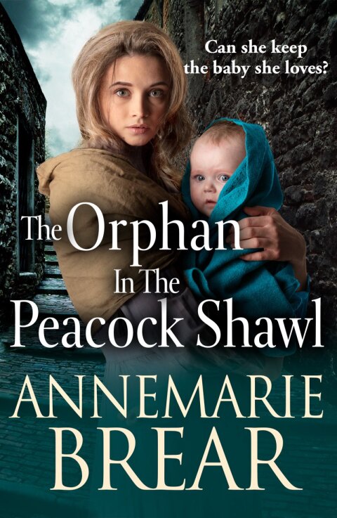 Cover image for book The Orphan in the Peacock Shawl