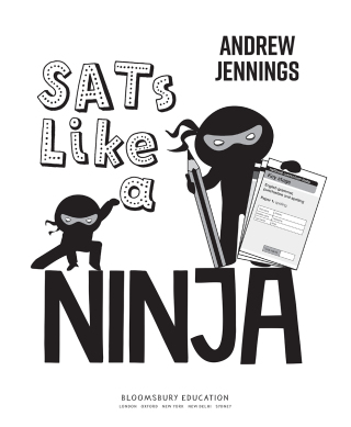 SATs Like a Ninja