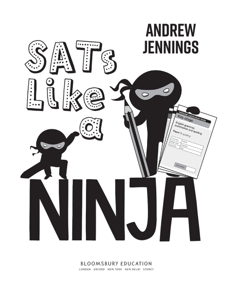 SATs Like a Ninja 