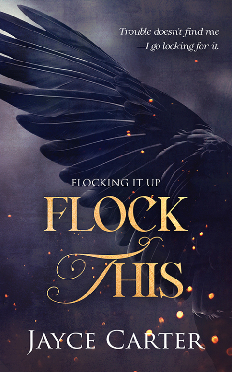 Cover image for book Flock This