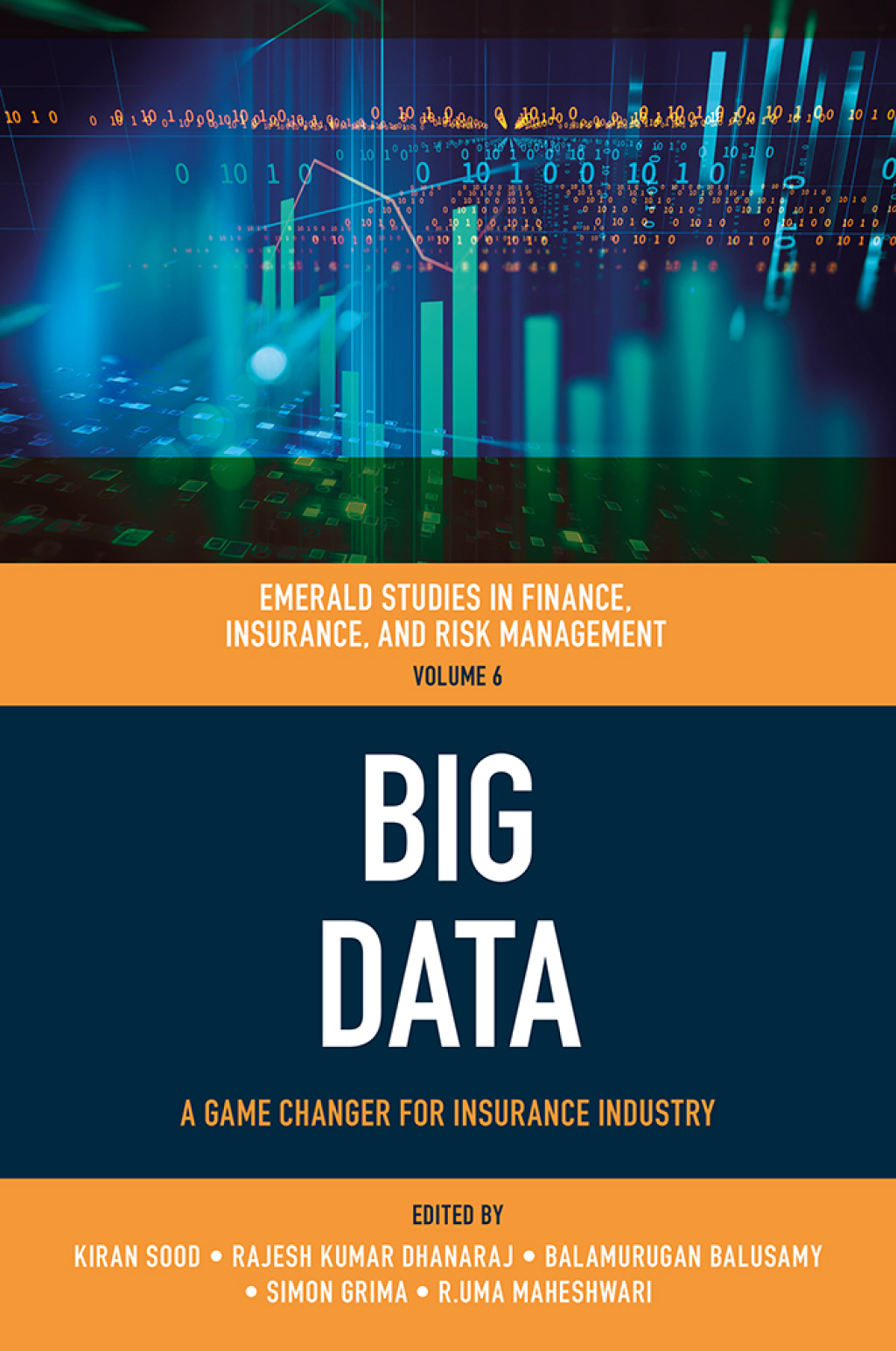 Big Data (eBook)